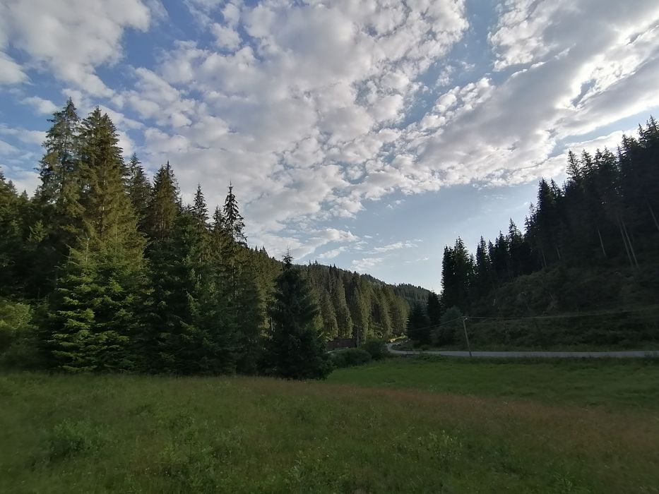 Teren intravilan 10.238 mp Secu-Toplița | Parcelabil | Ideal cabane pensiune | CF la zi aproape Borsec Toplița Bilbor
