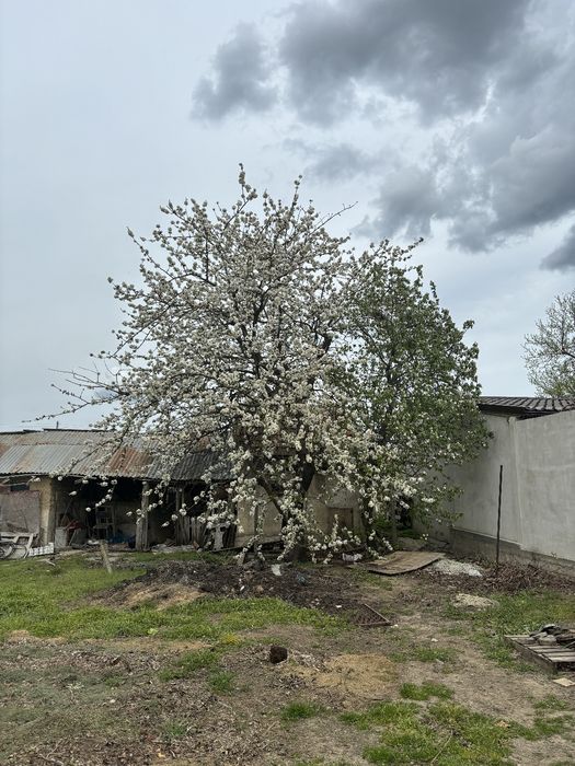 Vând teren in Constanța, in Valul lui Traian
