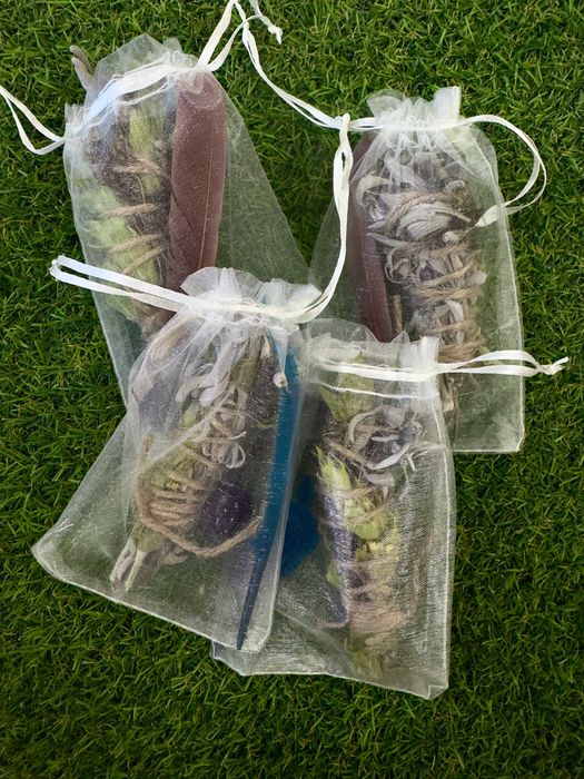 Комплект Лъвска грива (Hericium erinaceus)