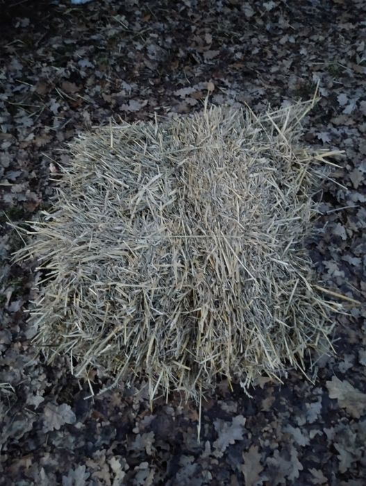 Baloți de paie de grau și fin