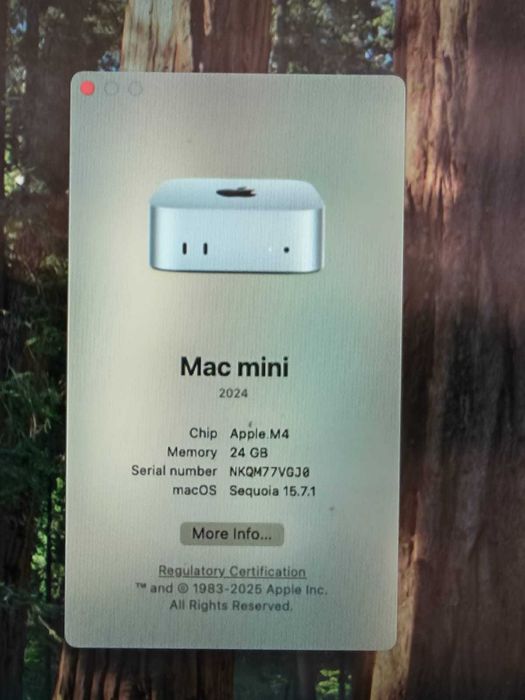 Set Complet - Mac Mini M4 24/512GB + Magic Keyboard & Trackpad