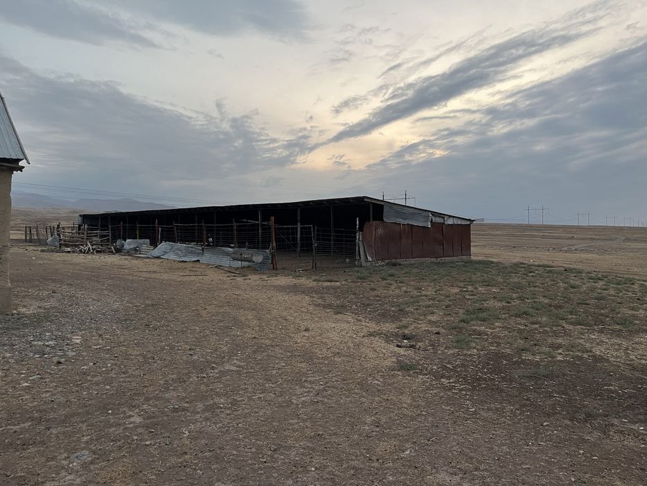 Фазенда (баз) сатылады