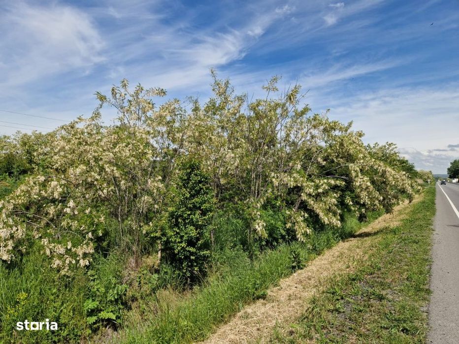 Teren de vanzare, 900 mp, Drumul European – Isalnita