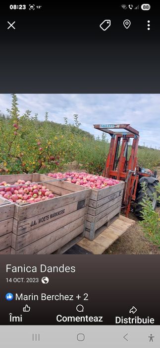 3,5 lei Vând mere Golden delicios și Florina
