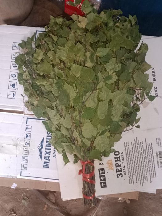 Продам бынные веники. 1000