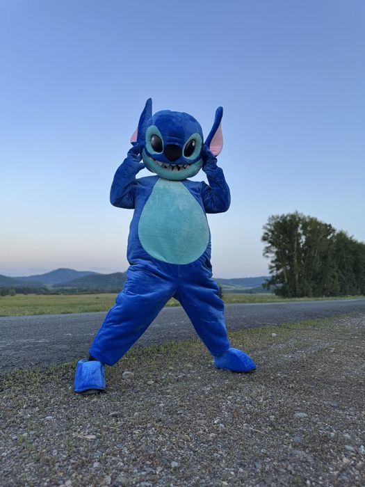 Аниматор Куроми, Стич