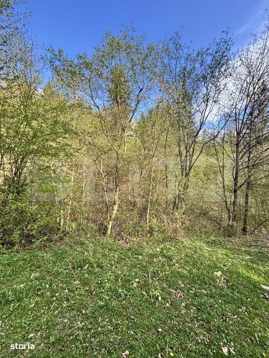 Teren extravilan, 2.8 ha, in zona Șandru, Campulung Moldovenesc