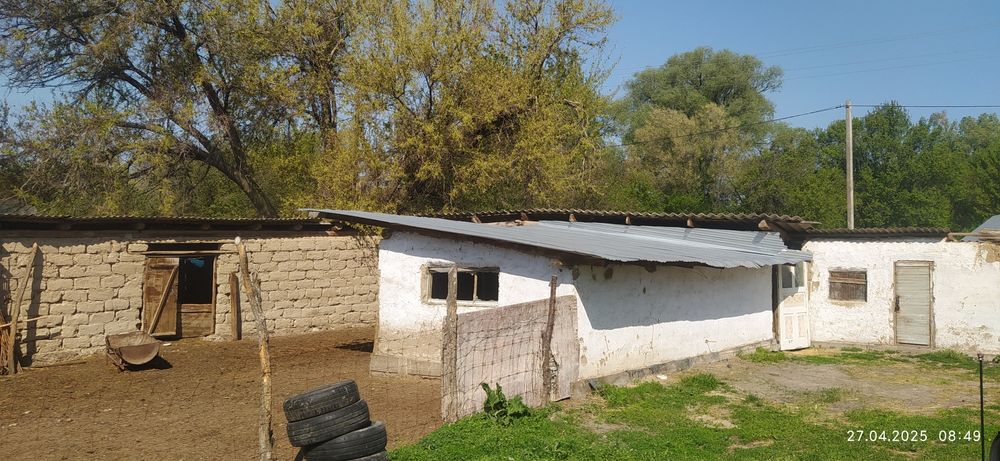 Уй сатылады екпінді достық 6