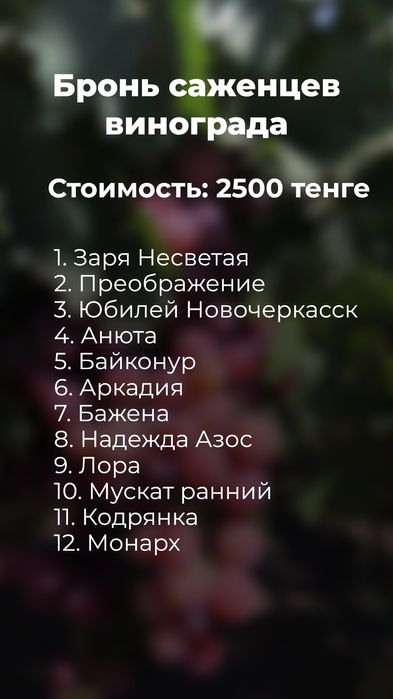 Продажа вегитирующих саженцев винограда