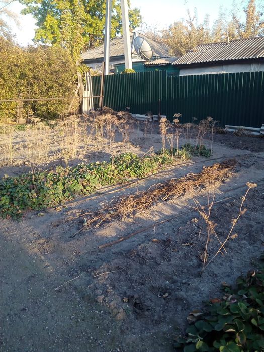 Продам дом в городе