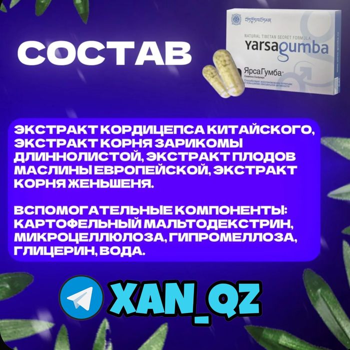 оригинальный мотиватор паярсагунаш