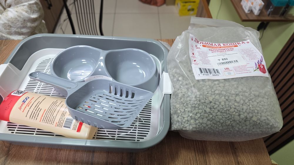 Отдам рыжего котенка