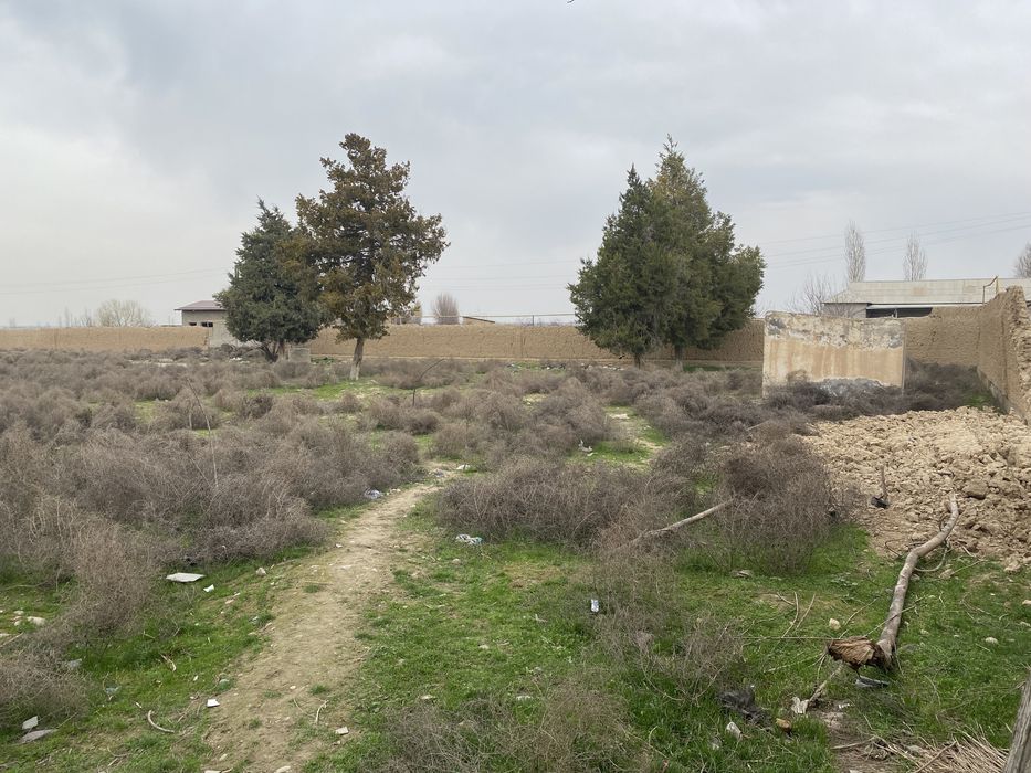 Нотурар жой сотилади ёки узок муддатга арендага берилади