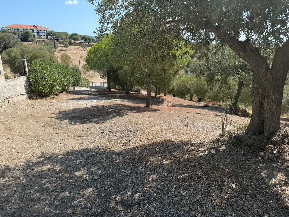 Продава се Къща в София, Център - 480 кв.м за 1042 €/кв.м - Снимка #13