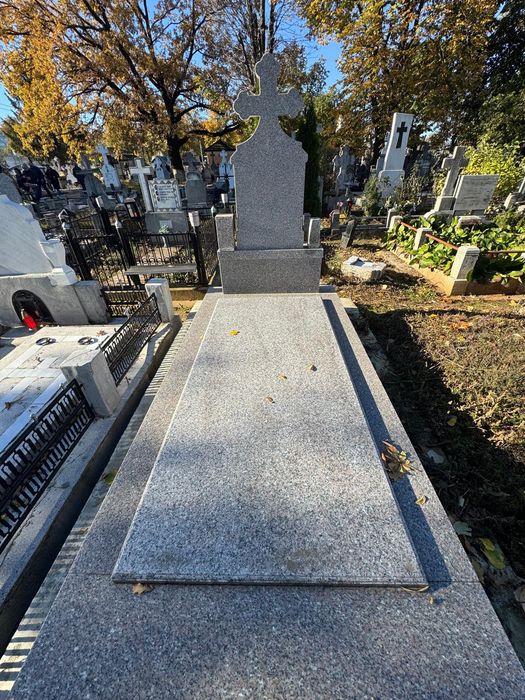 Loc de veci Viisoara