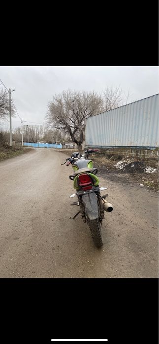 Продам рейсер тигр