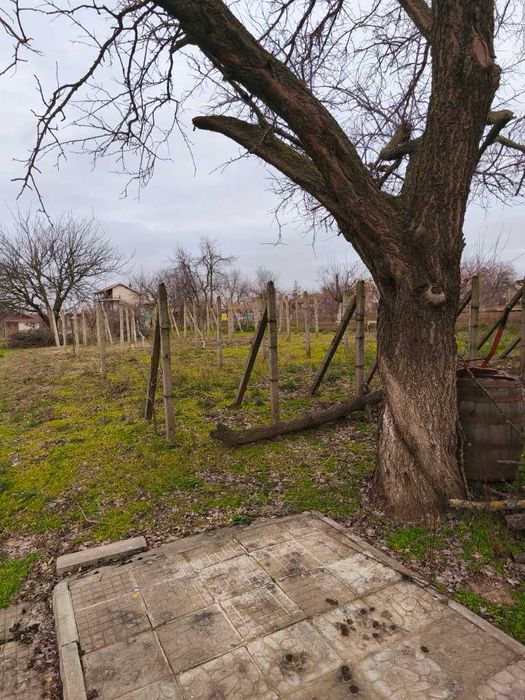 Продава се Къща в с. Ценович, Област Силистра - 120 кв.м за 319 €/кв.м - Снимка #22