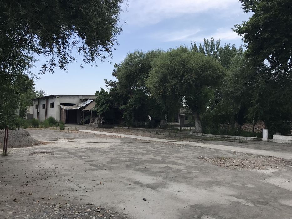 Yarim gektar joy bor quqonda yuldi buyida chinoboda