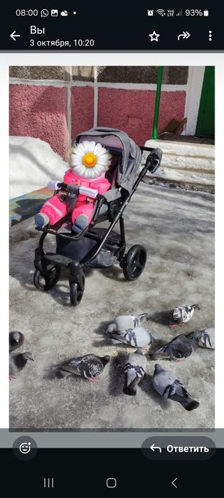 Коляска Adamex 2 в 1