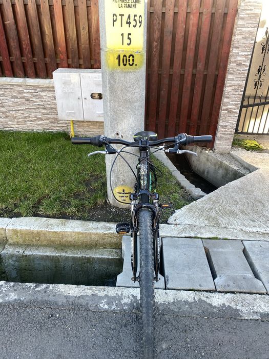 De vanzare giant in stare buna