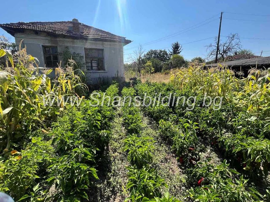 Продава се Къща в с. Ръжево, Област Пловдив - 146 кв.м за 168 €/кв.м - Снимка #6