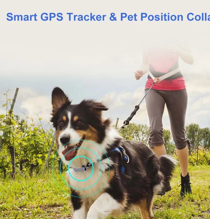 GPS-тракер с безплатно онлайн проследяване на кози овце кучета и др.