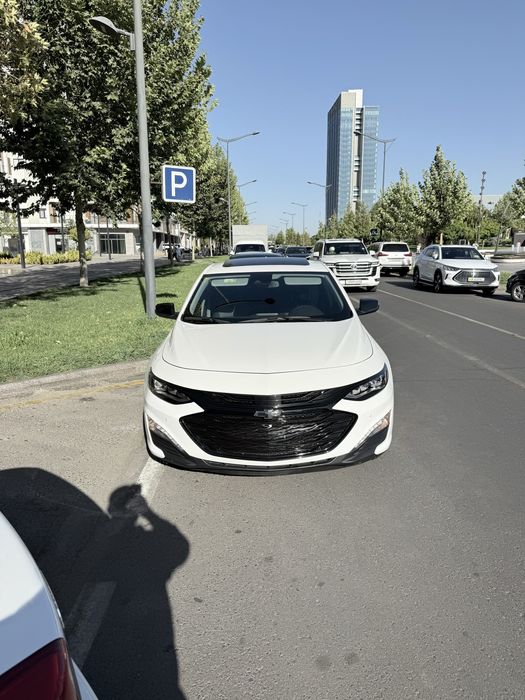 Malibu XL 2023 Tozza