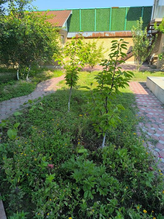 Продается своя 2х этажная уютная дача с бассейном и плодовым садом