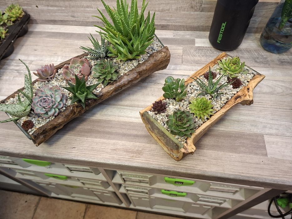 Мини градинка за вашият дом и офис.