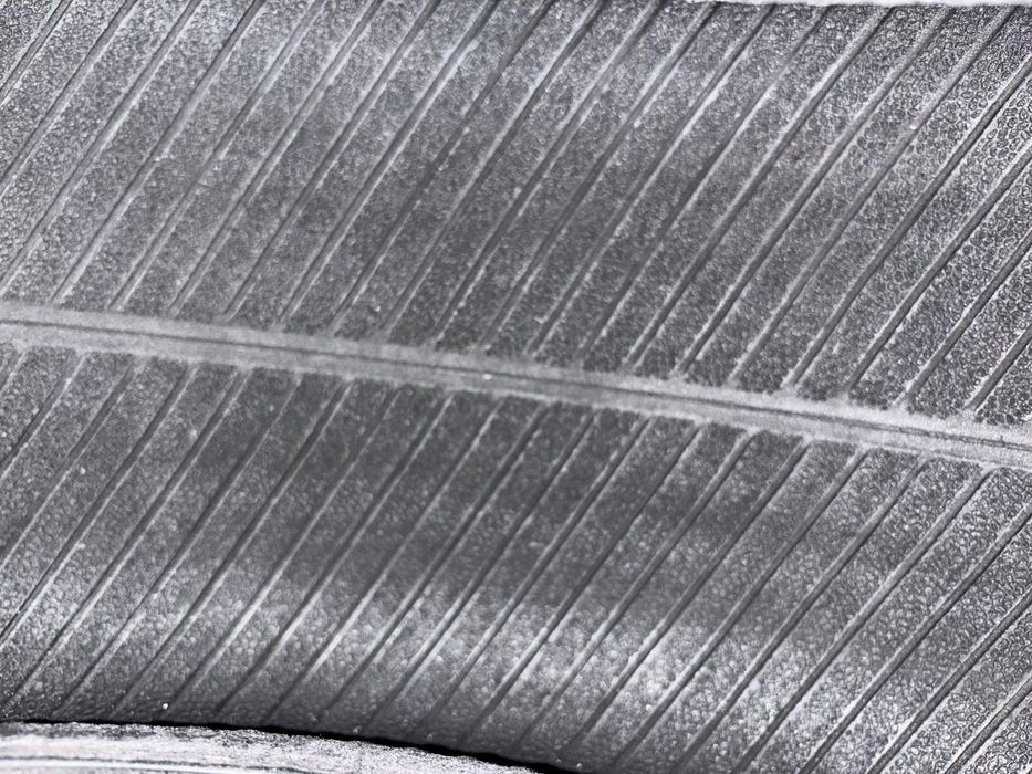 Шины лето 16 ханкоок