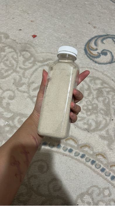 Хомяк , полный компл