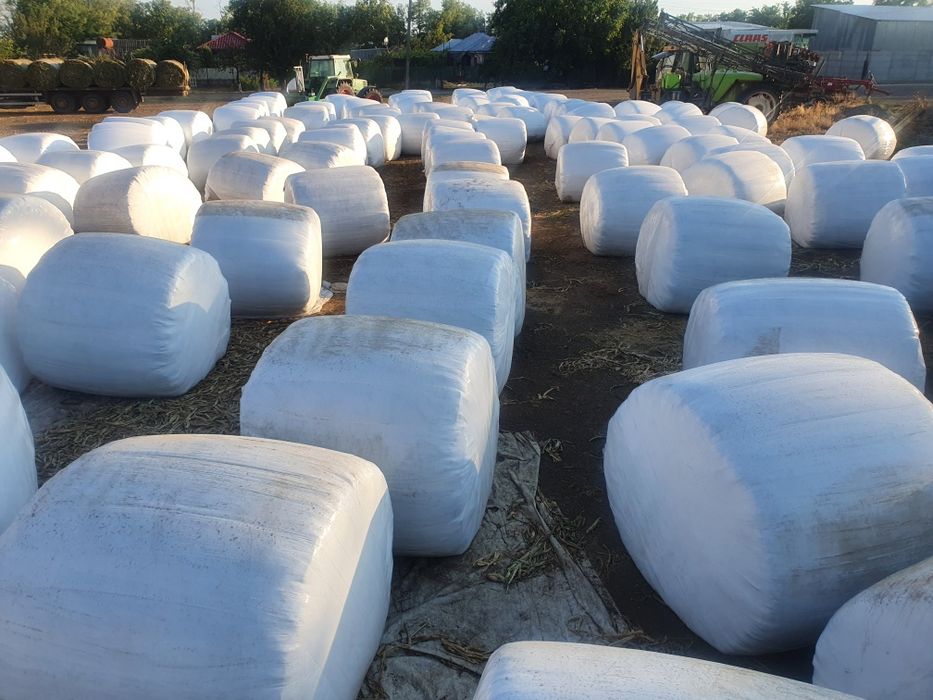 Vând baloti rotunzi infoliati lucerna si siloz porumb TOCAT