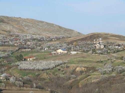 Teren intravilan in localitatea TOHANI PRAHOVA