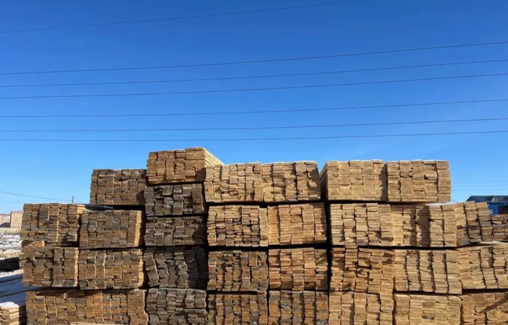 Ағаш. Лес. Профлист