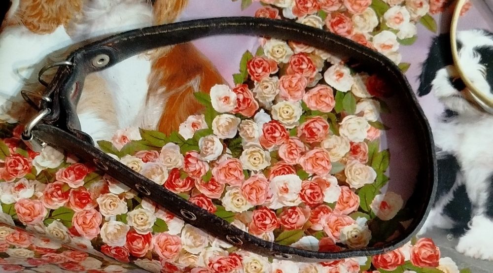 Продам цепочку с ошейником