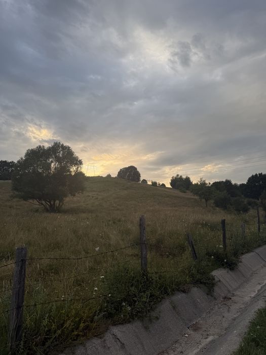 Teren 14.000 mp | 55 m deschidere la asfalt | Lupești - Bumbești-Pițic | Novaci | Gorj