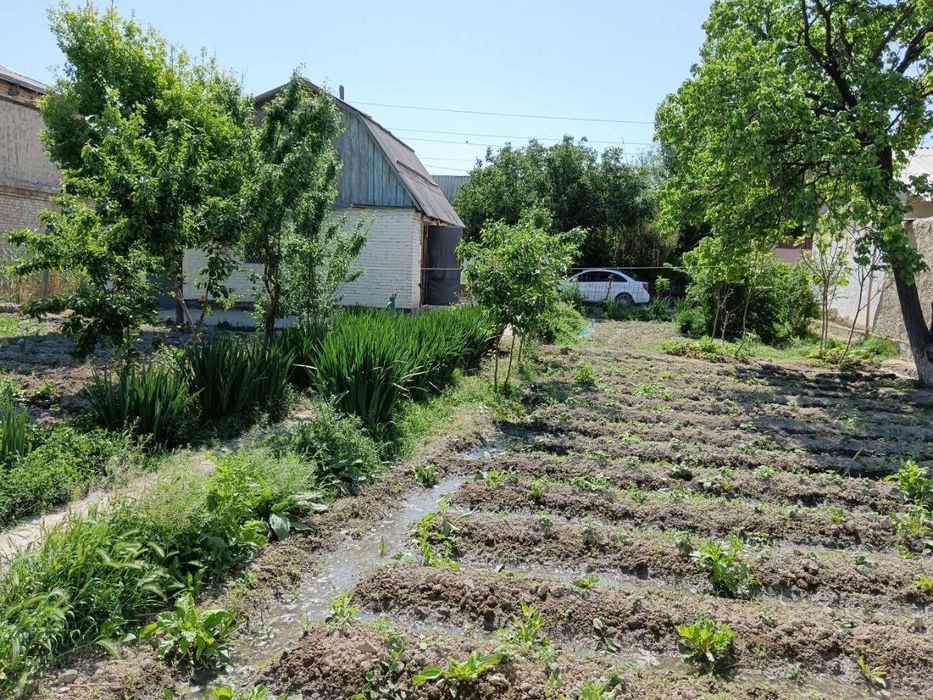 Навбахор дача тезда сотилади биринчи куча оладигон одамга келиштирамиз