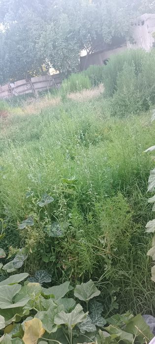 Òriladigan òt va deraza eshiklik 5dona