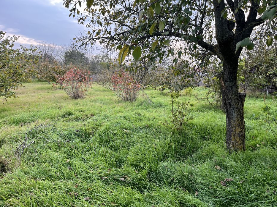 Продава се Къща в Добрич, Център - 100 кв.м за 281 €/кв.м - Снимка #3