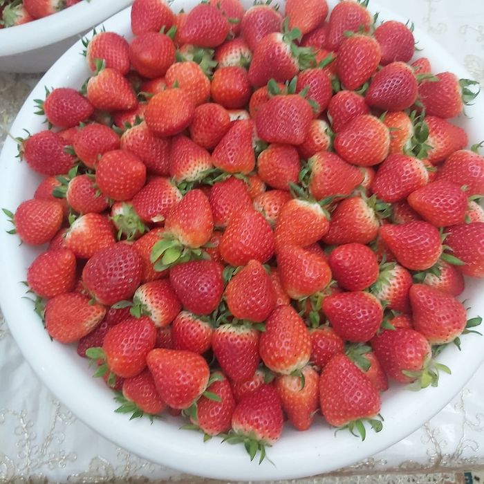 Клубник Корейский солхян