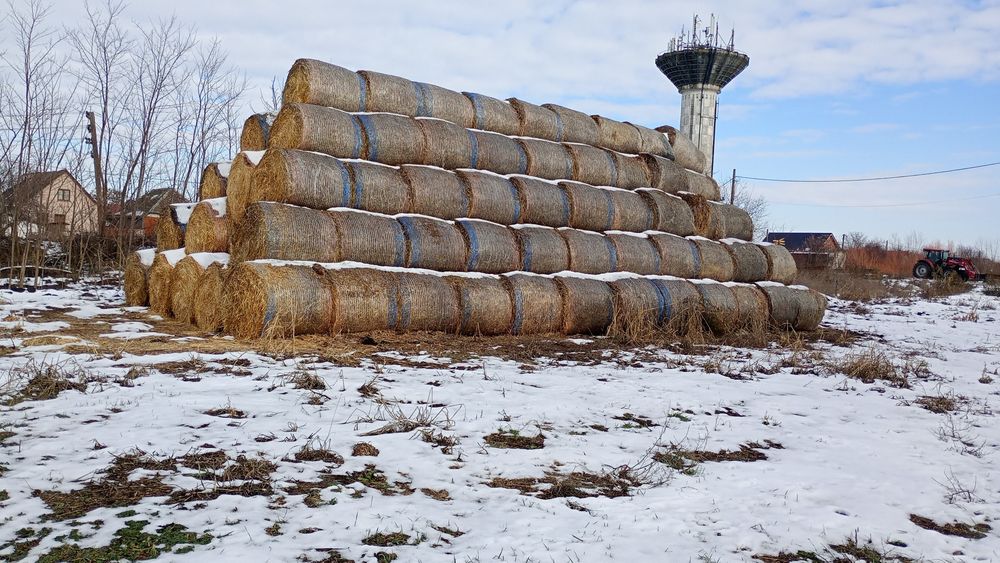 Vând sau schimb baloți de paie grau ovăs și orz amestec
