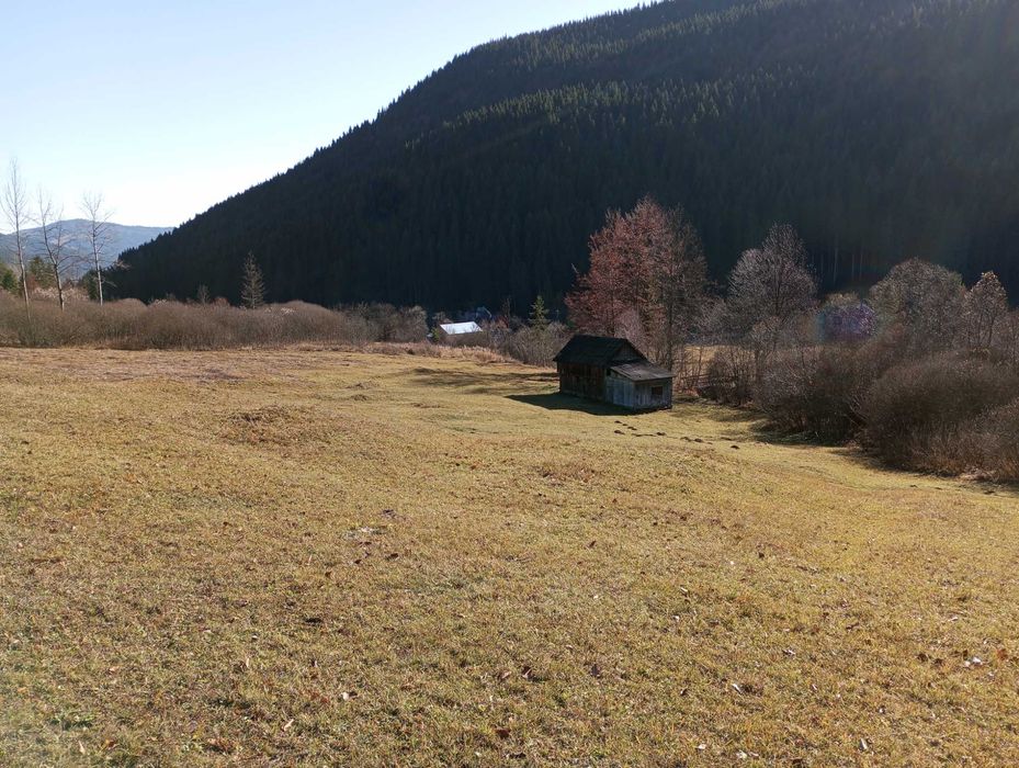 Teren intravilan Grinties, Neamt