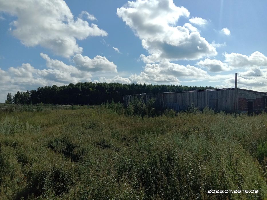 Продам дом срочно