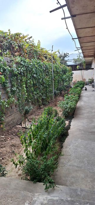 Юнусобод тумани 19 квартал Бободеҳқон маҳалласида  ҳовли сотилади