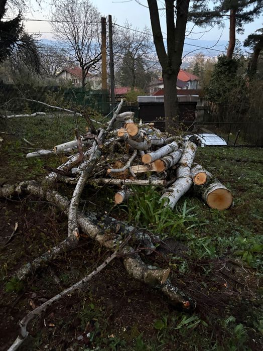 [обещани] Безплатно - дърва за огрев или дърводелство