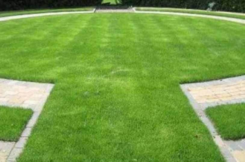 Gazon Rulou, Sisteme de irigare Plante Ornamentale