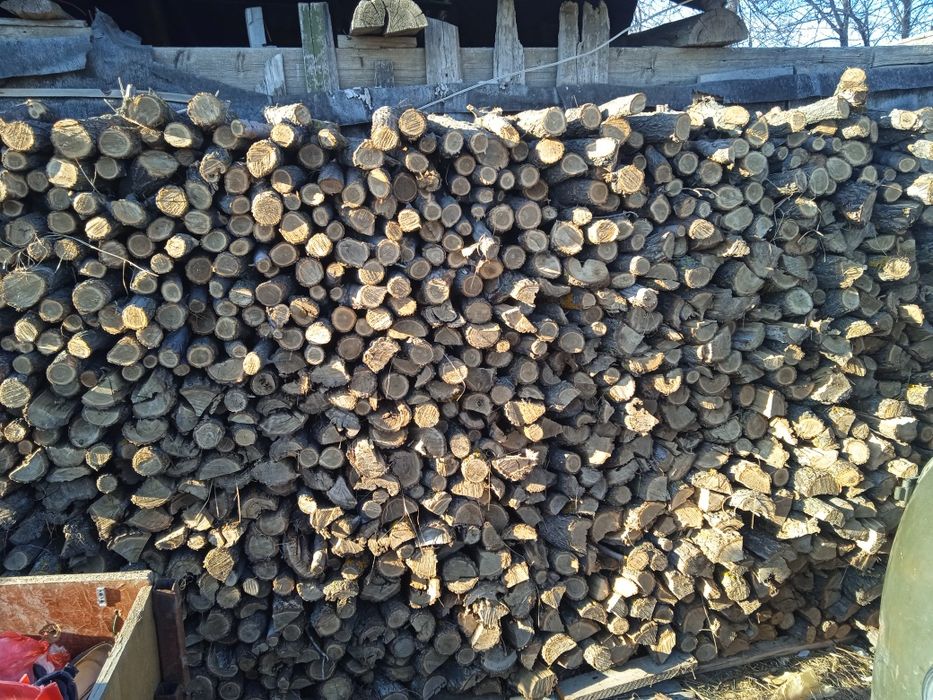 Продам дрова карагач 50000