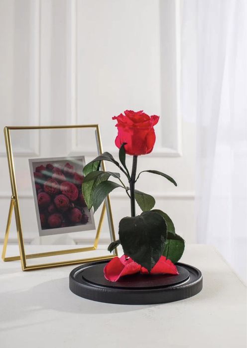 Вечная роза в колбе с гарантией