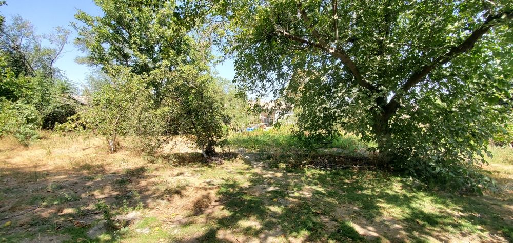 Продам дом. 16 соток земли в доль трасс М-39