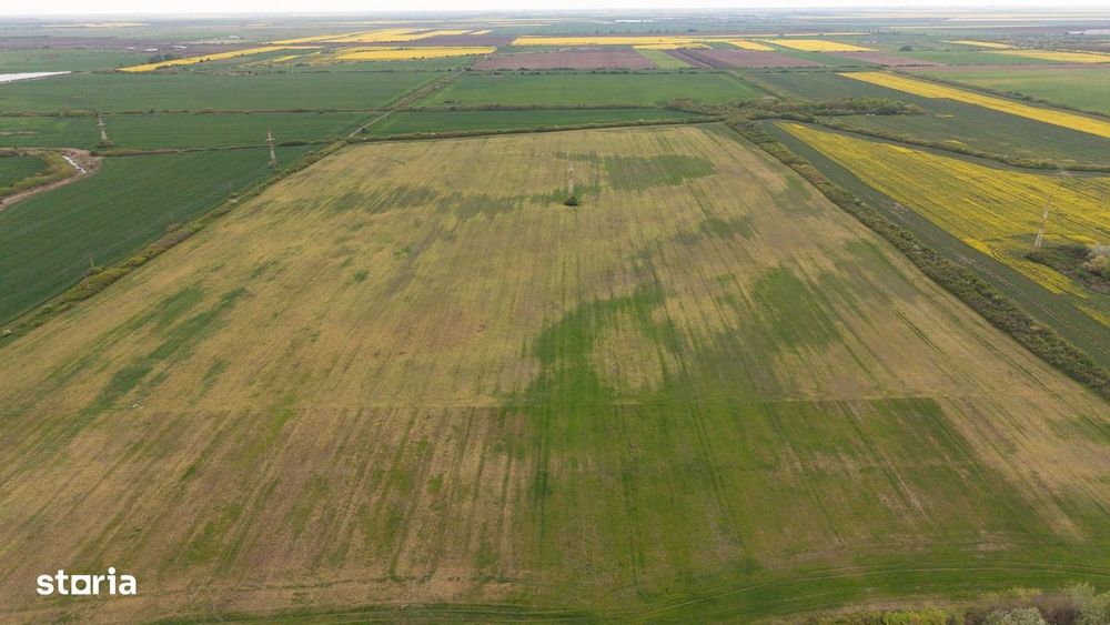 Teren investițional strategic 44.700 mp Arad Vest